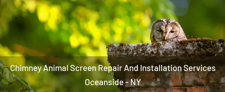  Chimney Animal Screen Repair And Installation Services Oceanside - NY