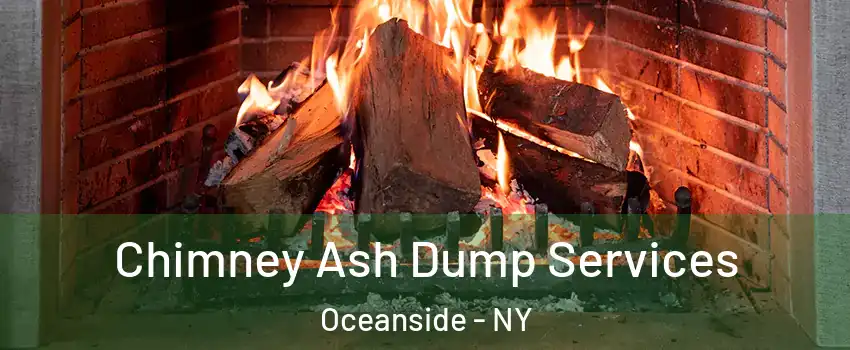  Chimney Ash Dump Services Oceanside - NY