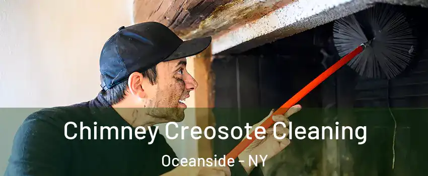 Chimney Creosote Cleaning Oceanside - NY