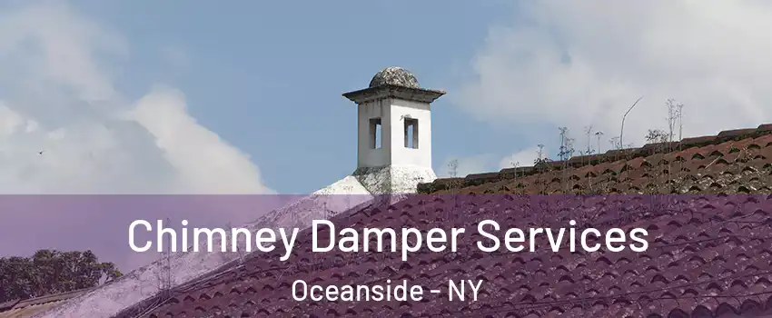  Chimney Damper Services Oceanside - NY