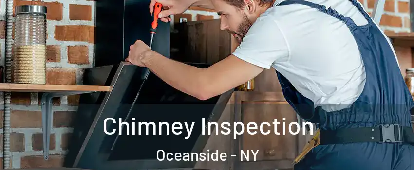  Chimney Inspection Oceanside - NY