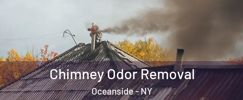  Chimney Odor Removal Oceanside - NY
