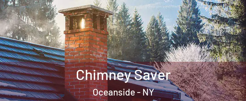  Chimney Saver Oceanside - NY