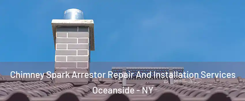  Chimney Spark Arrestor Repair And Installation Services Oceanside - NY