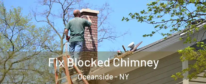  Fix Blocked Chimney Oceanside - NY