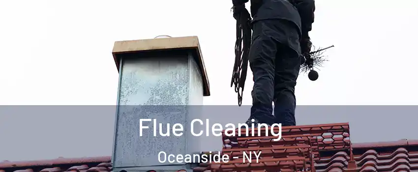 Flue Cleaning Oceanside - NY