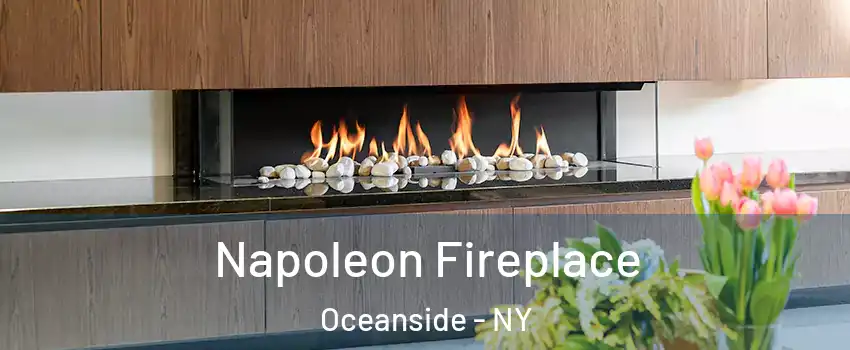  Napoleon Fireplace Oceanside - NY